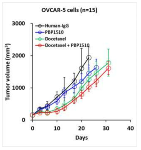 OVCAR-5 세포유래 이종 이식 모델에서 나타난 감소한 종양의 크기