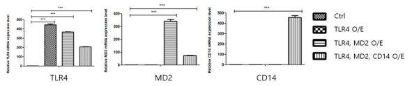과발현 벡터의 형질주입에 의한 TLR4, MD2, CD14의 mRNA 발현 수준