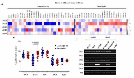 Public microarray dataset을 이용한 유방암 세포주에서 BAG family 유전자 발현 분석