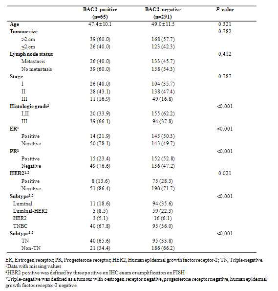 유방암 환자에서 BAG2 단백질 발현과 임상병리학적 특징