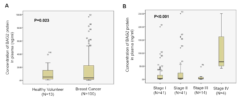 유방암 환자에서 sandwich ELISA를 이용한 혈중 BAG2 단백질 정량 분석