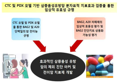 연구개발 추진전략