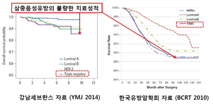 삼중음성유방암의 불량한 예후