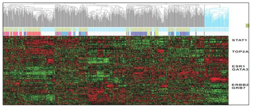 유방암 환자의 gene expression profile