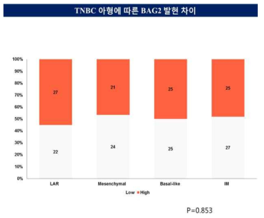 BAG2는 삼중음성유방암의 분자아형 별로 발현량의 차이가 유의미하게 관찰되지 않았음