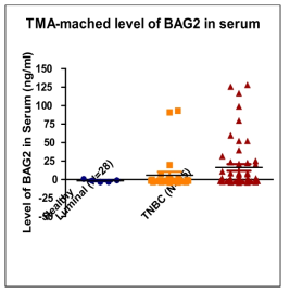 TNBC 환자의 혈액에서 BAG2 단백질의 높은 발현을 확인함