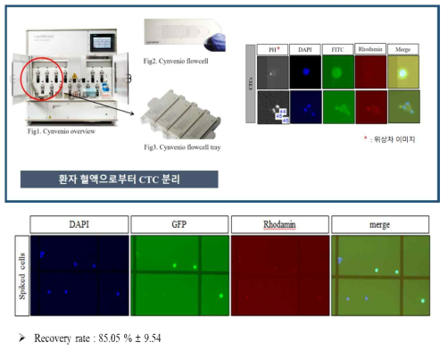 Cynvenio 시스템을 이용한 CTC 분리 및 확인 모식도