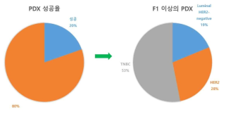 PDX 모델 구축의 성공율