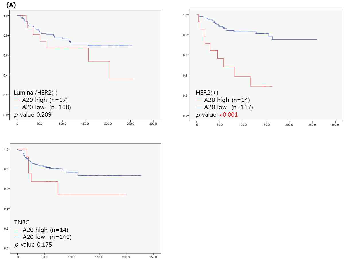 A20 단백질 발현에 따른 무재발 생존율. (좌상) Luminal HER2 negative, (우상) HER2 positive, (좌하) TNBC