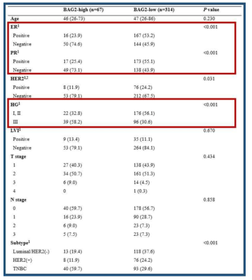 BAG2 단백질의 발현에 따른 유방암 환자의 임상병리학적 인자