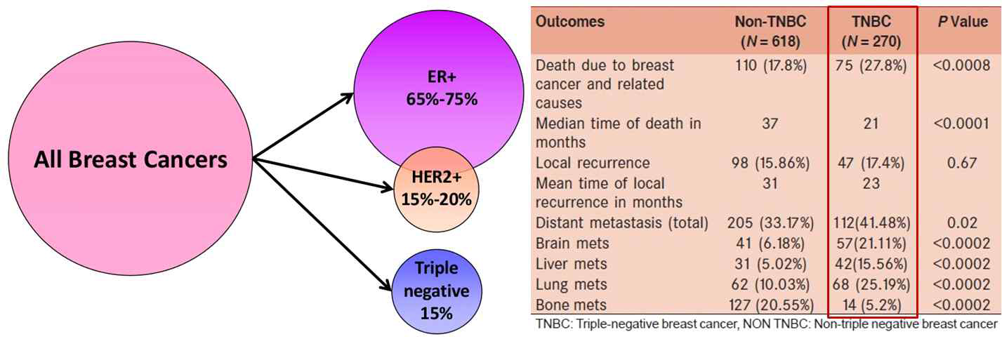 삼중음성 유방암의 전체 유방암에서의 차지 비율 및 예후