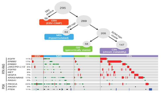 Molecular subtype of gastric cancer (Nature 513:202-9, 2014)
