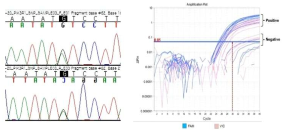PIK3R1에 대한 sanger sequencing결과와 real-time PCR검사 결과