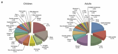 성인과는 다른 소아청소년 악성질환의 분포