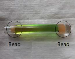 Bead를 결합한 직장선량계