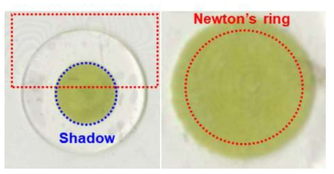 수정체 생체선량계의 Newton’s ring artifact