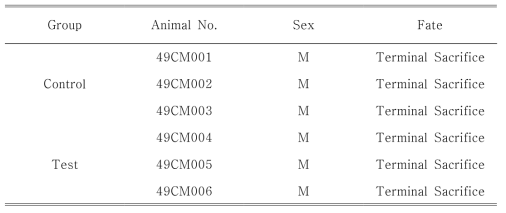 Record of Animal Fate and Disposition in Rabbits