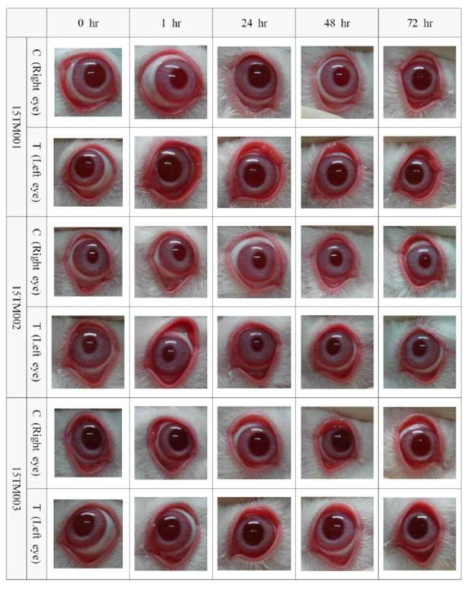 Individual Animal Photographs for Ocular Irritation Reaction