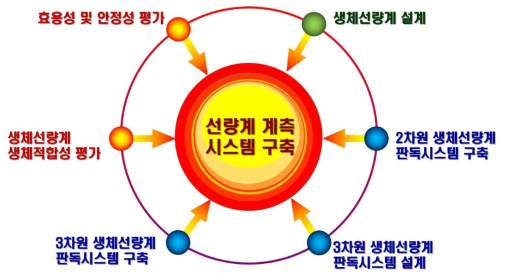 2차년도 연구개발 내용