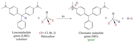 류코말라카이트 그린(Leuco Malachite Green, 무색)에서 말라카이트 그린(Malachite Green, 녹색)으로 변화하는 반응 메커니즘