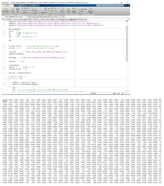 Radiomics 특징 추출을 위한 자체 개발한 matlab 기반의 스크립트