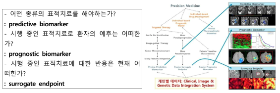 정밀의료를 적절히 수행하기 위한 영상 분석법 활용 방안