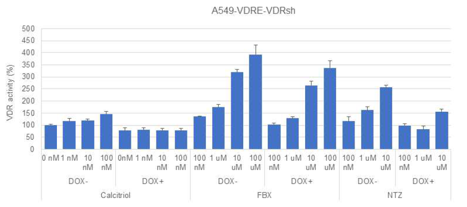 발국 약물의 VDR-의존적인 VDRE 활성화 기전 확인