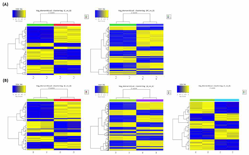 Calcitriol 및 NT, FB 약물 처리에 의한 유전자 발현 변화 탐색:(Microarray Analysis) (A) A549: DMSO vs. Calcitriol, DMSO vs. NT (B) H1299: DMSO vs. Calcitriol, vs. NT, DMSO vs. FB