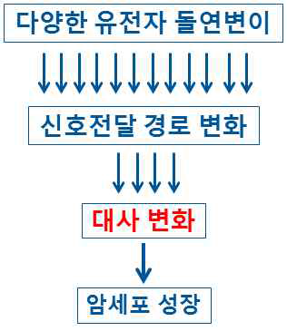 암대사 변화의 의의