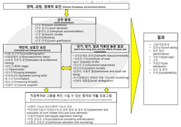 암 생존자와 일(work) 모형(Mehert et al., 2013)