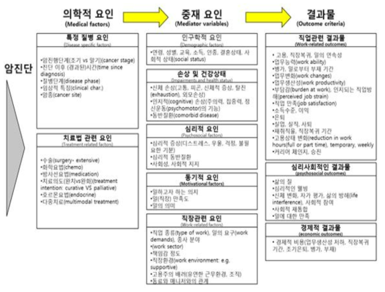 암 생존자 일과 고용(Work and employment) 모형(Mehnert, 2011)