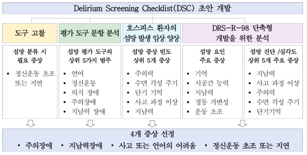 DSC 도구 문항 개발 과정 개요