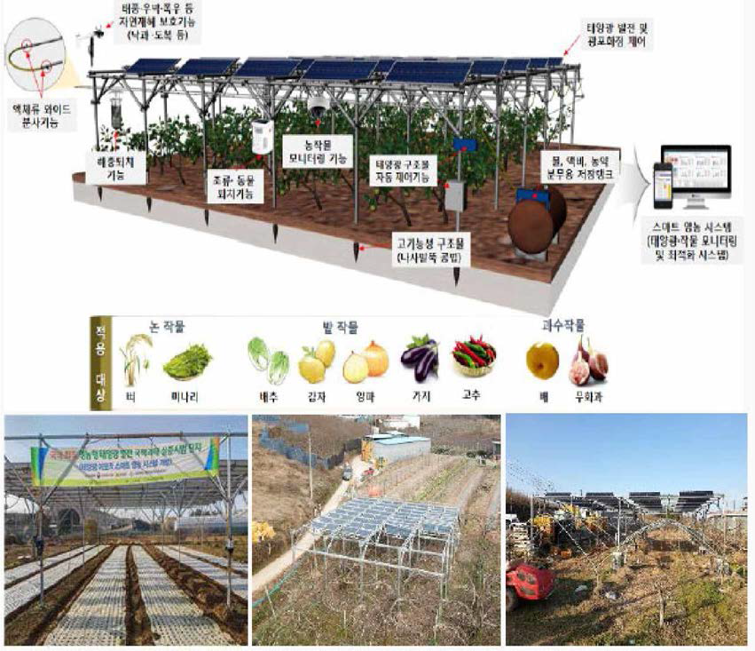 국내 첫 영농형 태 양광 연구과제 개념도
