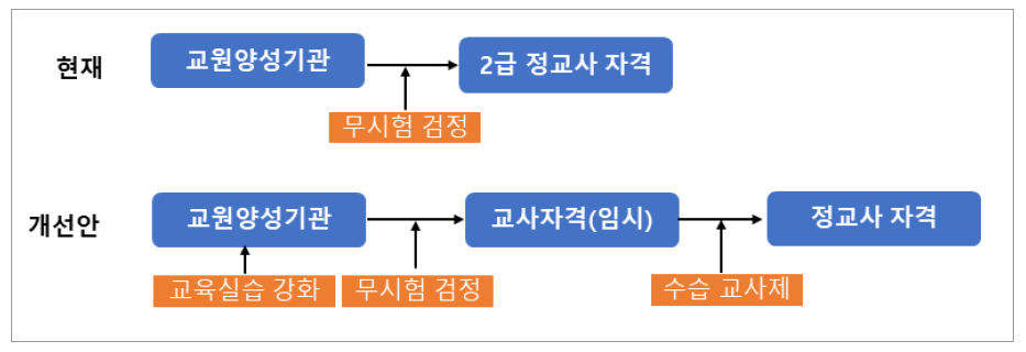 정교사 자격증 발급 기준 강화를 위한 개선안