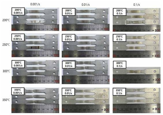 온도 및 변형률 속도에 따른 시편 파단형상 분석
