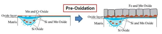 SiO2, Cr2O3 산화층에 Oxidation 처리하여 FeO를 형성시킬 경우 나타나는 형태의 모식도
