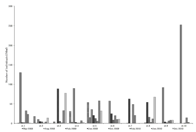 Abundance graph of taxon number at each station and period in Gamak Bay