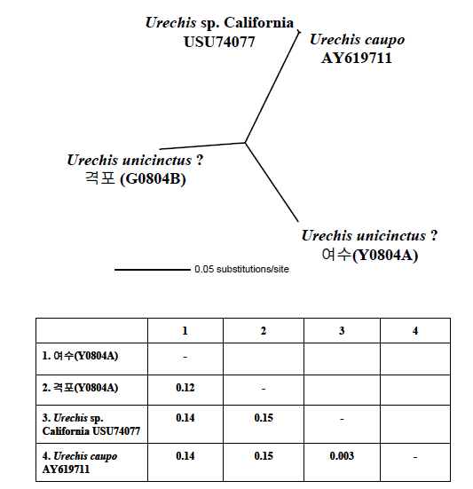 The interspecific identity between Urechis CO1 gene sequence