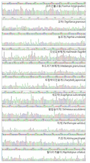 The result of target species chromatograph by DNA sequencing analysis