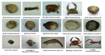 The target species for DNA sequencing analysis in study area