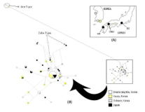 A map denoting the sampling locations (A) and a haplotype network diagram (B). In the network diagram, size of the circles denotes the number of individuals that contain the haplotype. The proportions of individual sequences belonging to sampling locations are represented in the pie chart