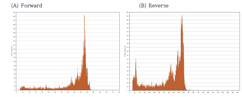 Distribution of massive sequence length