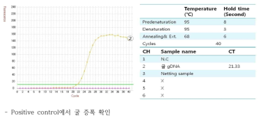 Species specific probe test for Crassostrea gigas