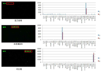 Strongylocentrotus nudus, Mytilus galloprovincialis, and Atrina pectinata DNA chip test