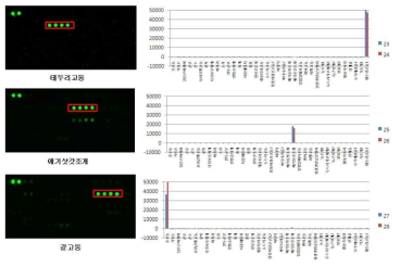 Patelloida saccharina, Cellana toreuma , and Heminerita japonica DNA chip test