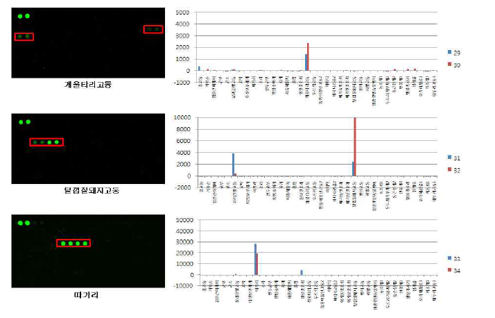 Monodonta labio confusa, Cantharus cecillii, and Placiphorella stimpsoni DNA chip test