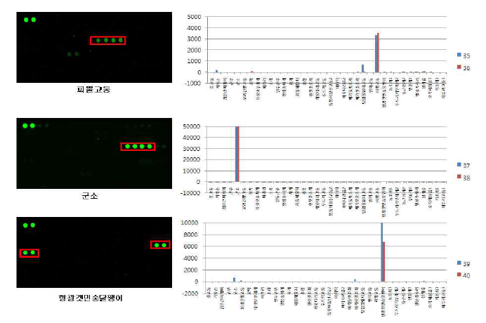 Rapana venosa, Aplysia kurodai , and Plocamopherus tilesii DNA chip test