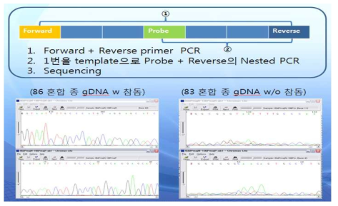 ecies-specific Probe selection using the nested PCR method