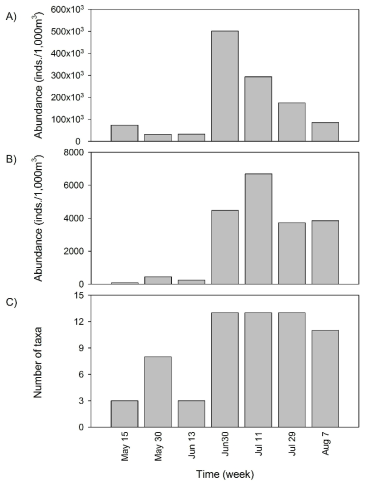 Weekly variation of abundances in fish eggs (A), larvae (B), and number of larval taxa (C) in the study area on May to August, 2008