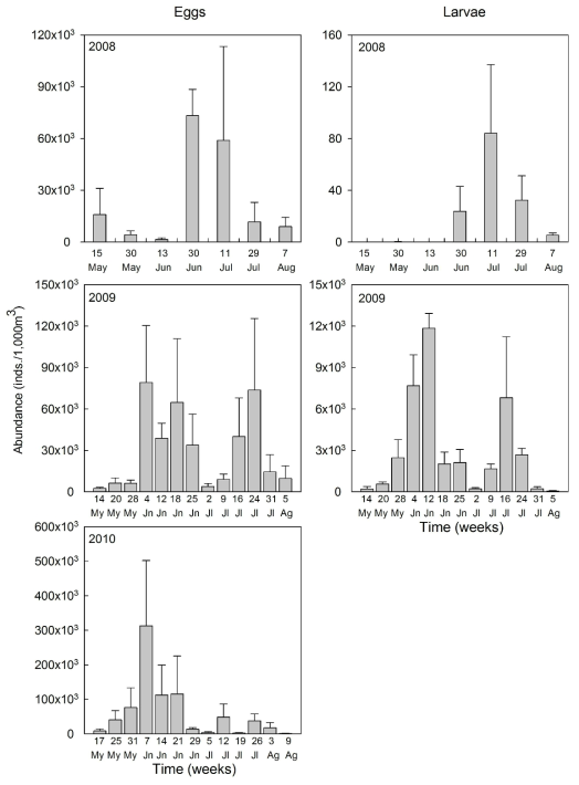 Seasonal variation of anchovy eggs and larvae occurred in the study area on May to August, 2008~2009 (eggs were collected in 2008~2010). My, May; Jn, June; Jl, July; Ag, August